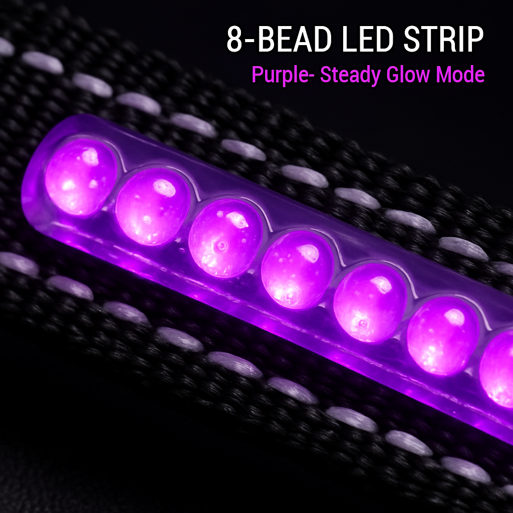Light Up Dog Collar with LED Night Safety Colors