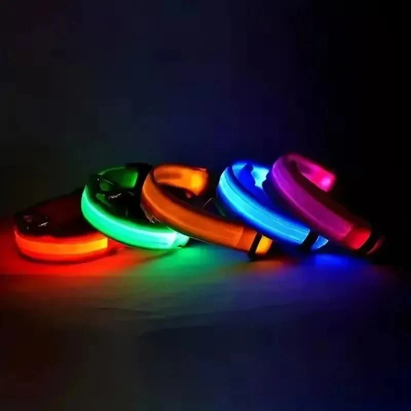 LED Dog Collar | Nylon Light-Up Safety Collar with Reflective Glow and 3 Flashing Modes
