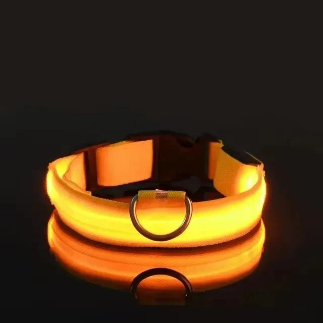 LED Dog Collar | Nylon Light-Up Safety Collar with Reflective Glow and 3 Flashing Modes