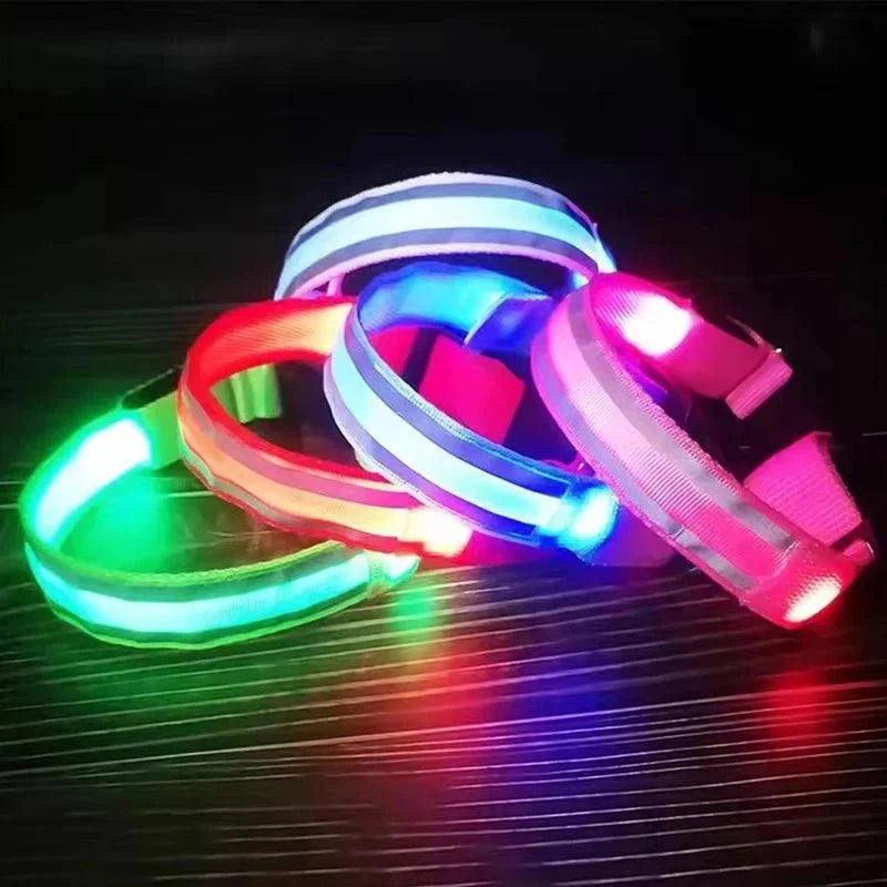 LED Dog Collar | Nylon Light-Up Safety Collar with Reflective Glow and 3 Flashing Modes