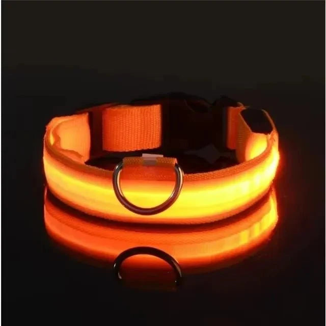 LED Dog Collar | Nylon Light-Up Safety Collar with Reflective Glow and 3 Flashing Modes
