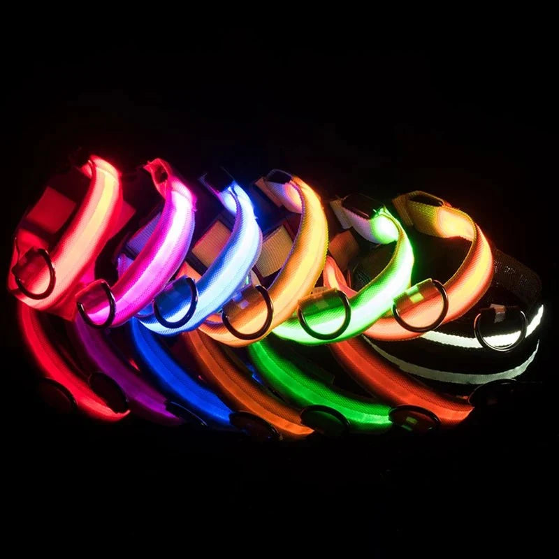 LED Dog Collar | Nylon Light-Up Safety Collar with Reflective Glow and 3 Flashing Modes