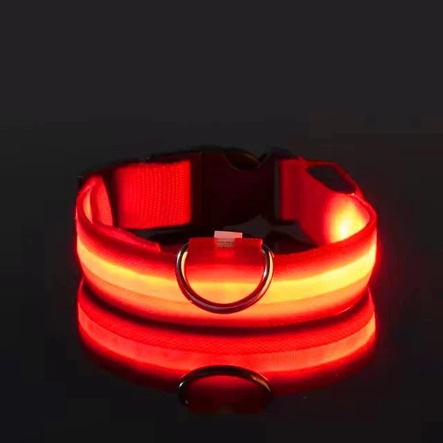 LED Dog Collar | Nylon Light-Up Safety Collar with Reflective Glow and 3 Flashing Modes